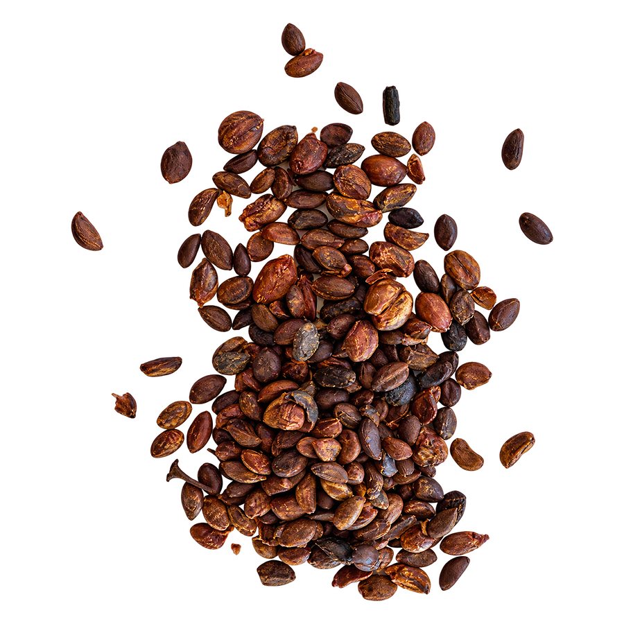 Actual image of substance used: reddish-brown Celastrus paniculatus seeds scattered on a white background