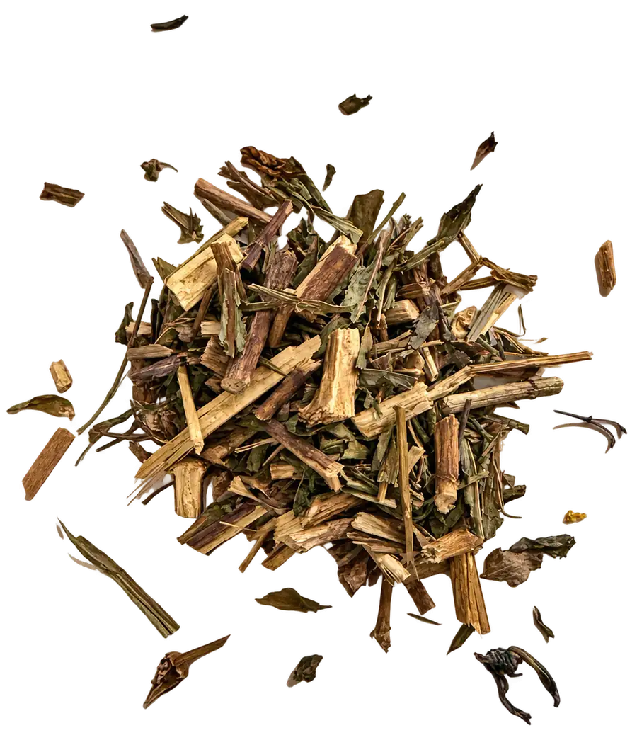 Actual image of substance used: dried Mexican tarragon (Tagetes lucida) herb